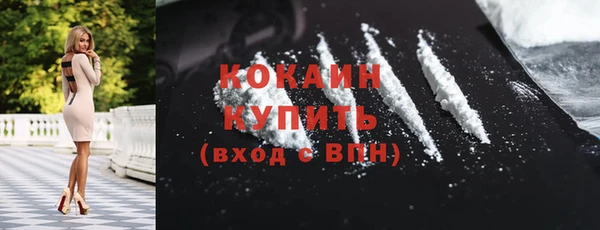 сатива Сатка