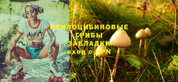трава Абинск