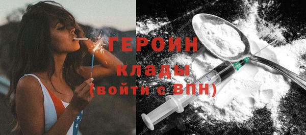 PSILOCYBIN Алзамай