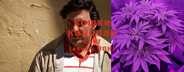 PSILOCYBIN Алзамай
