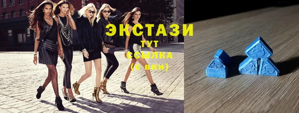 сатива Сатка