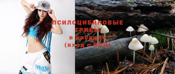 крисы Алексеевка